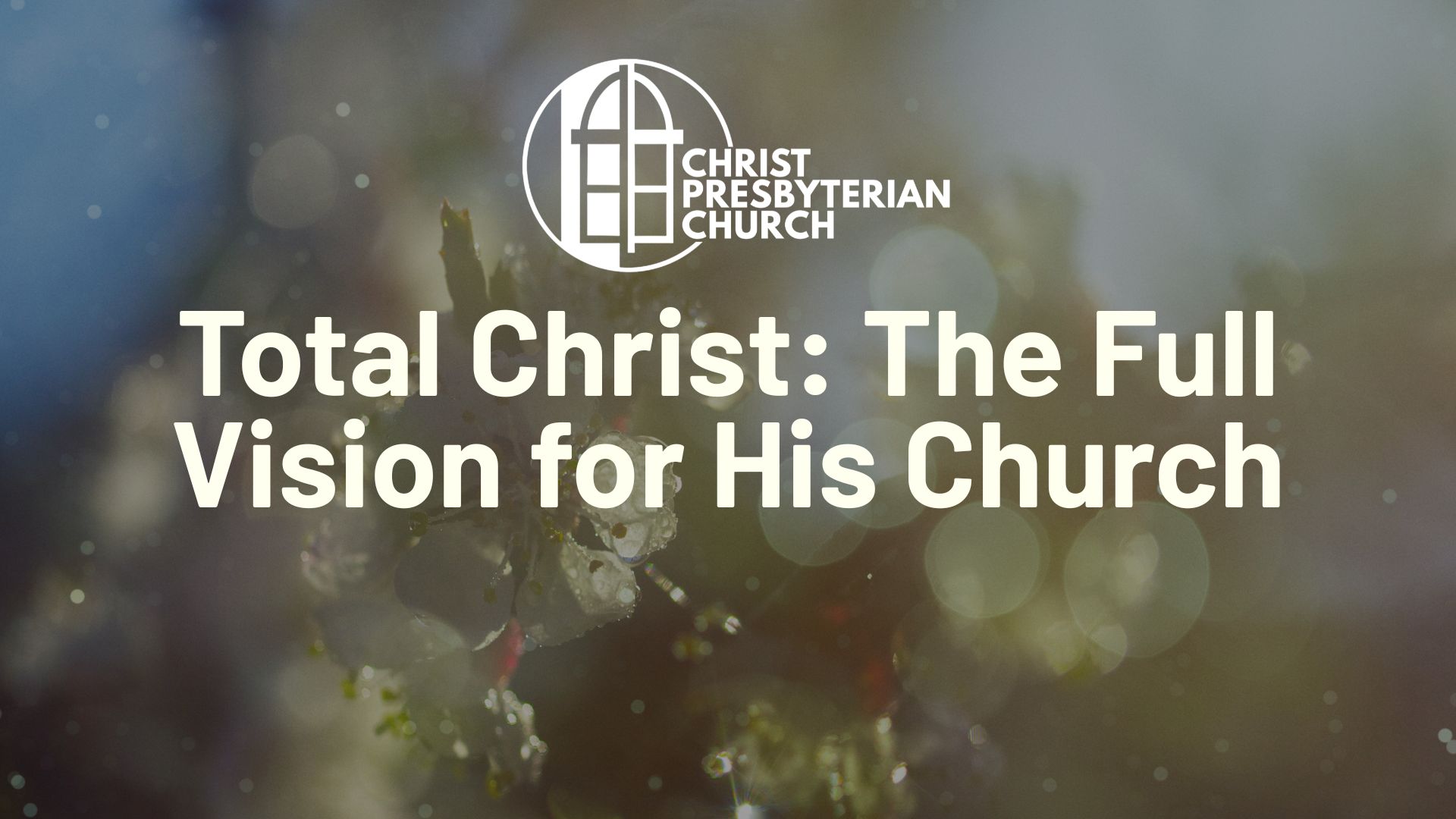 Total Christ: The Full Vision for His Church